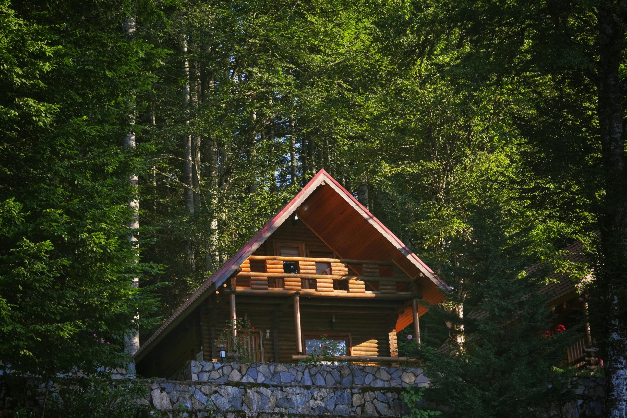 Évasion magique : passez une nuit au cœur de la forêt