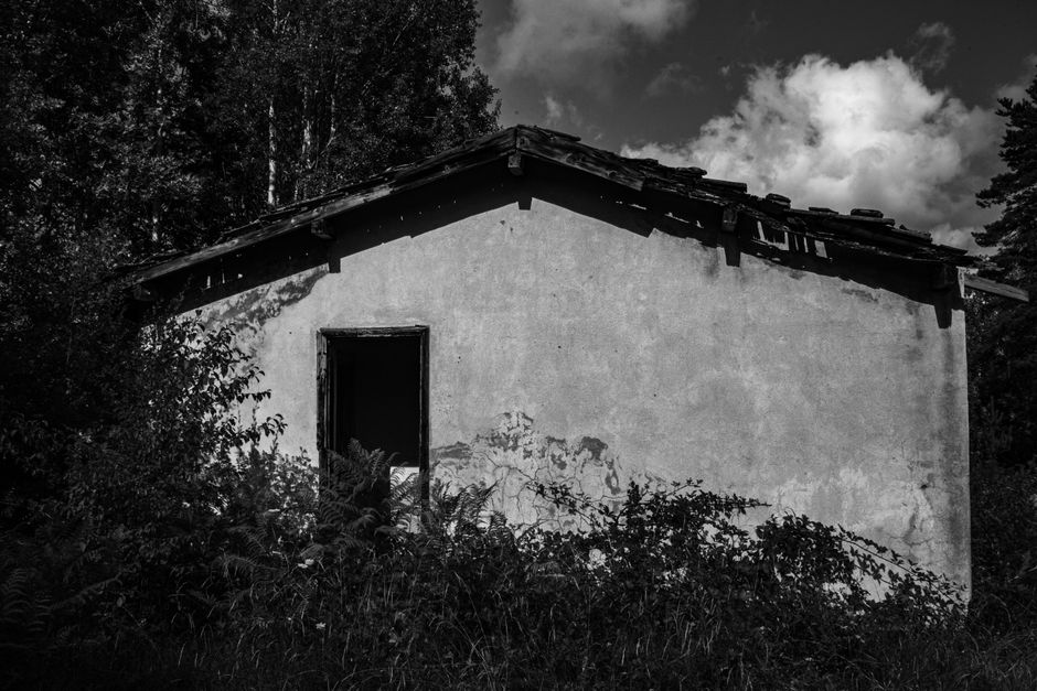 Évasion et sérénité : vivre dans une maison en pleine nature