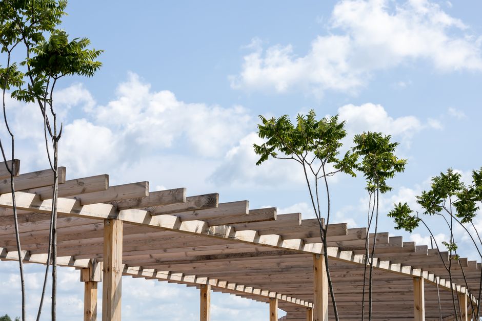 Construire une pergola : avantages, matériaux et idées déco