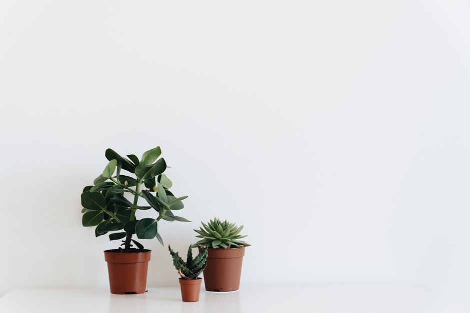 Vivre mieux avec moins : les secrets du minimalisme au quotidien