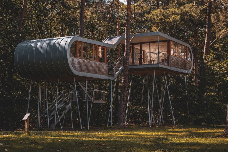 Cabane perchée luxe : confort, design et immersion en pleine nature
